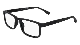 Flexon Eyeglasses E1117