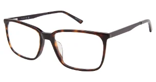 C02 Tortoise