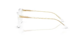 Dolce & Gabbana Eyeglasses DX3002