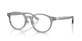 5413 Shiny Transparent Grey