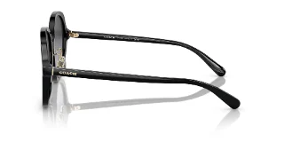 Coach Sunglasses HC8360F