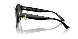 Jimmy Choo Sunglasses JC5007F