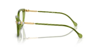 Swarovski Eyeglasses SK2011