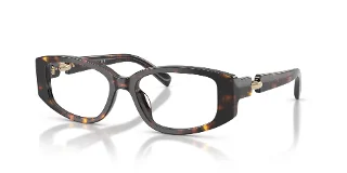 1981 Brown Tortoise