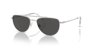 Swarovski Sunglasses SK7007