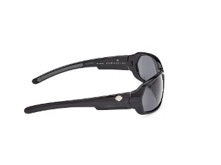 Harley Davidson Sunglasses HD0913X