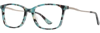 C03 Aqua Tortoise / Silver