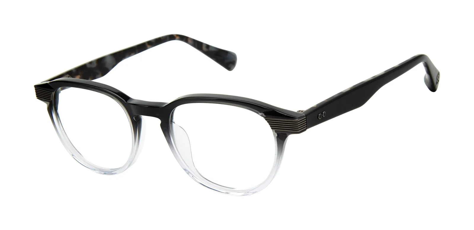 Ted Baker Eyeglasses TLM004