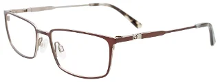 010 Brown & Steel