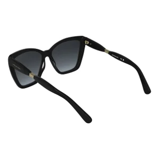 Longchamp Sunglasses LO803S