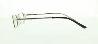 Polo Eyeglasses PP8509