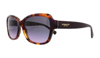 Coach Sunglasses HC8160 L145