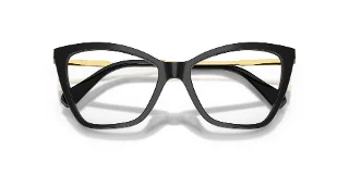 Swarovski Eyeglasses SK2051
