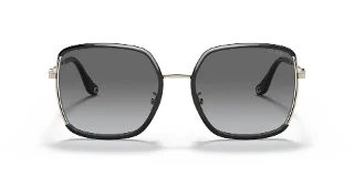 Coach Sunglasses HC7139BD