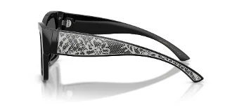 Dolce & Gabbana Sunglasses DG4493
