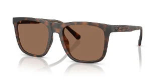512073 Matte Dark Tortoise