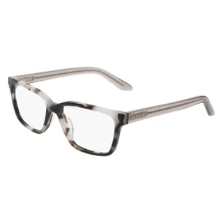 281 Smoke Tortoise