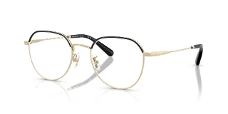9346 Shiny Light Gold/Black