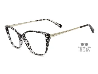 C13 Black Tortoise