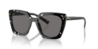 15S5Z1 Black Crystal Tortoise
