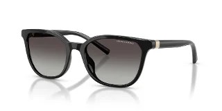 Armani Exchange Sunglasses AX4168SU