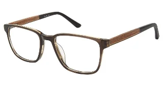 C02 Brown Horn
