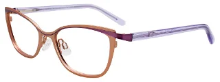 Easyclip Eyeglasses EC509