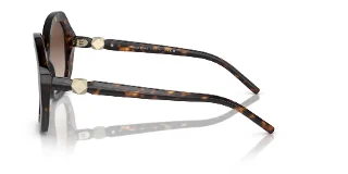 Giorgio Armani Sunglasses AR8180