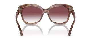 Coach Sunglasses HC8264