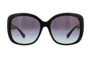 Coach Sunglasses HC8158 L139