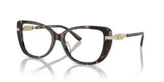 3006 Dark Tortoise
