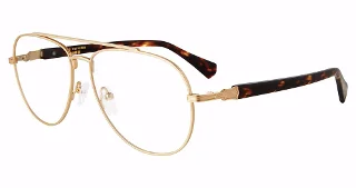 John Varvatos Eyeglasses VJV192