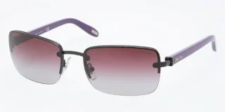 Ralph Sunglasses RA4082