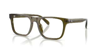 5910 Transparent Olive