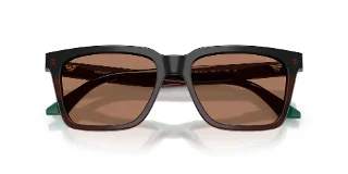 Emporio Armani Sunglasses EA4260F