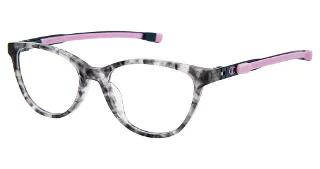 C01 Black Tortoise