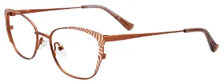 Easyclip Eyeglasses EC557