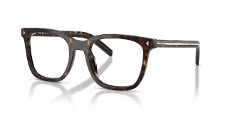 17N1O1 Root Tortoise
