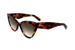 238 Classic Tortoise