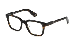 Shiny Dark Havana