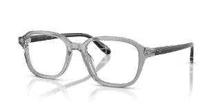 6317 Shiny Transparent Grey