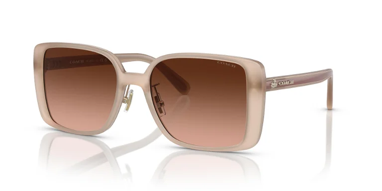 Coach Sunglasses HC8375