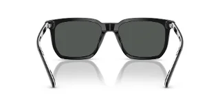 Polo Sunglasses PH4224F