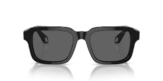 Giorgio Armani Sunglasses AR8194U