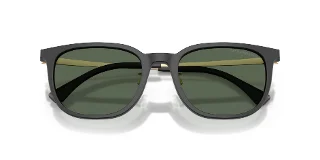 Emporio Armani Sunglasses EA4286D