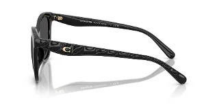Coach Sunglasses HC8419U