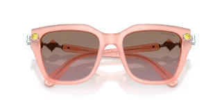 Swarovski Sunglasses SK6041F