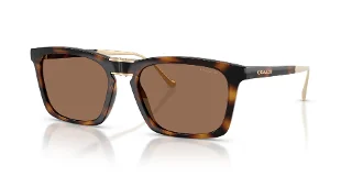 512013 Dark Tortoise