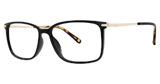 Randy Jackson Eyeglasses 3052