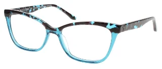 Blue Ocean Tortoise